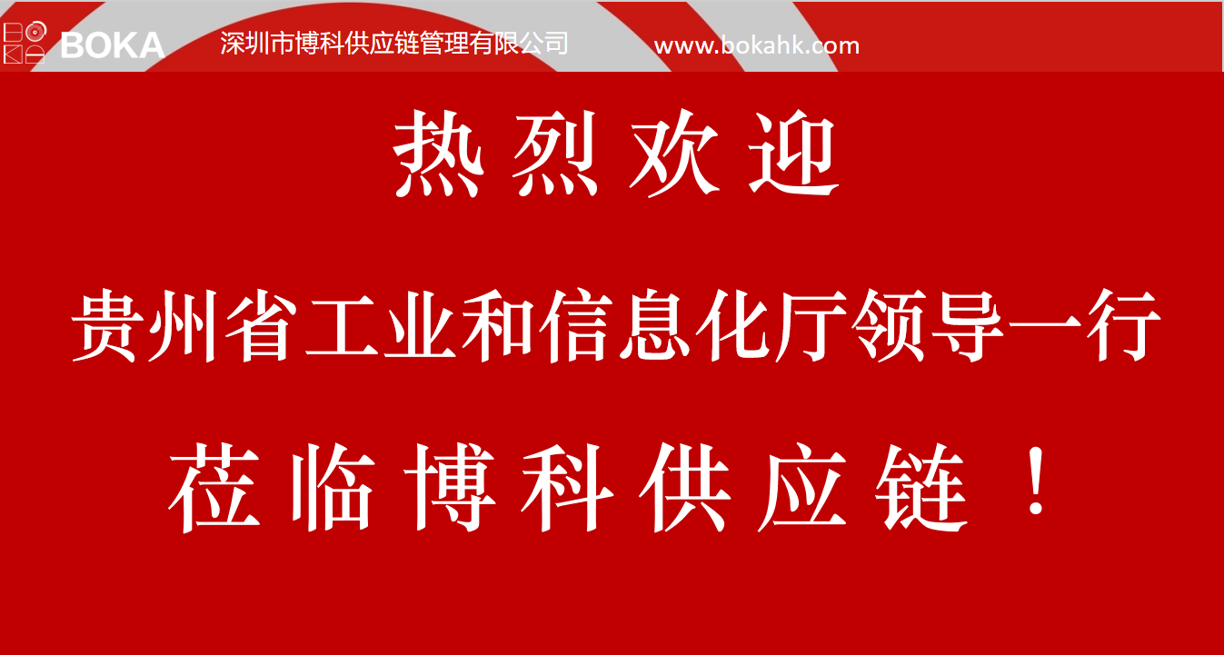 贵州工信厅金厅长一行考察新宝GG供应链